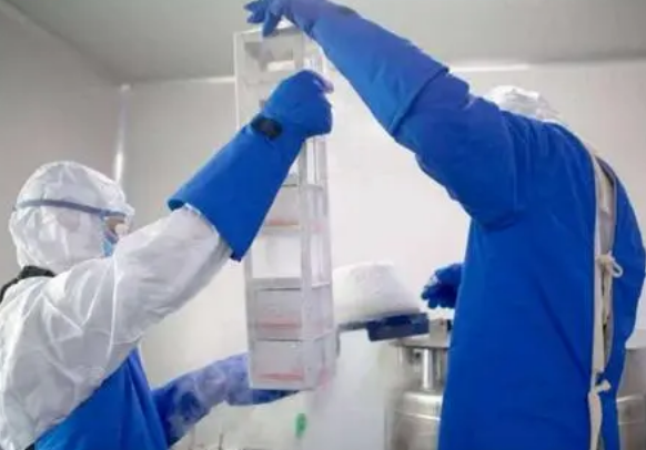 細胞凍存 細胞凍存