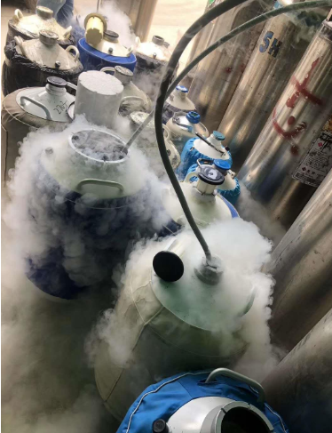 液氮罐充裝 液氮罐充裝